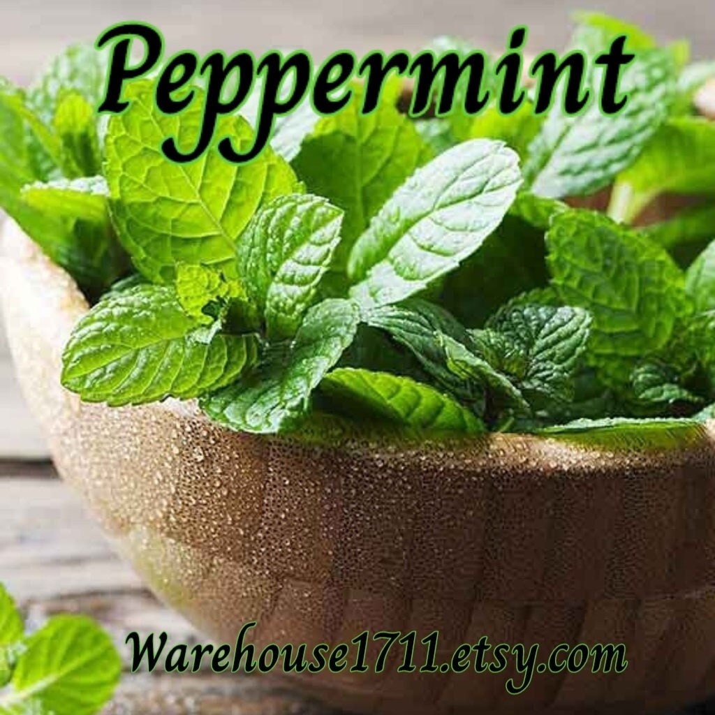 Peppermint Candle Fragrance Oil tuppu.net/447d7ed0 #glitter #candleoils #explorepage #Warehouse1711 #aromatheraphy #candlemaker #dtftransfers #handmadecandles #ScentBarSoaps