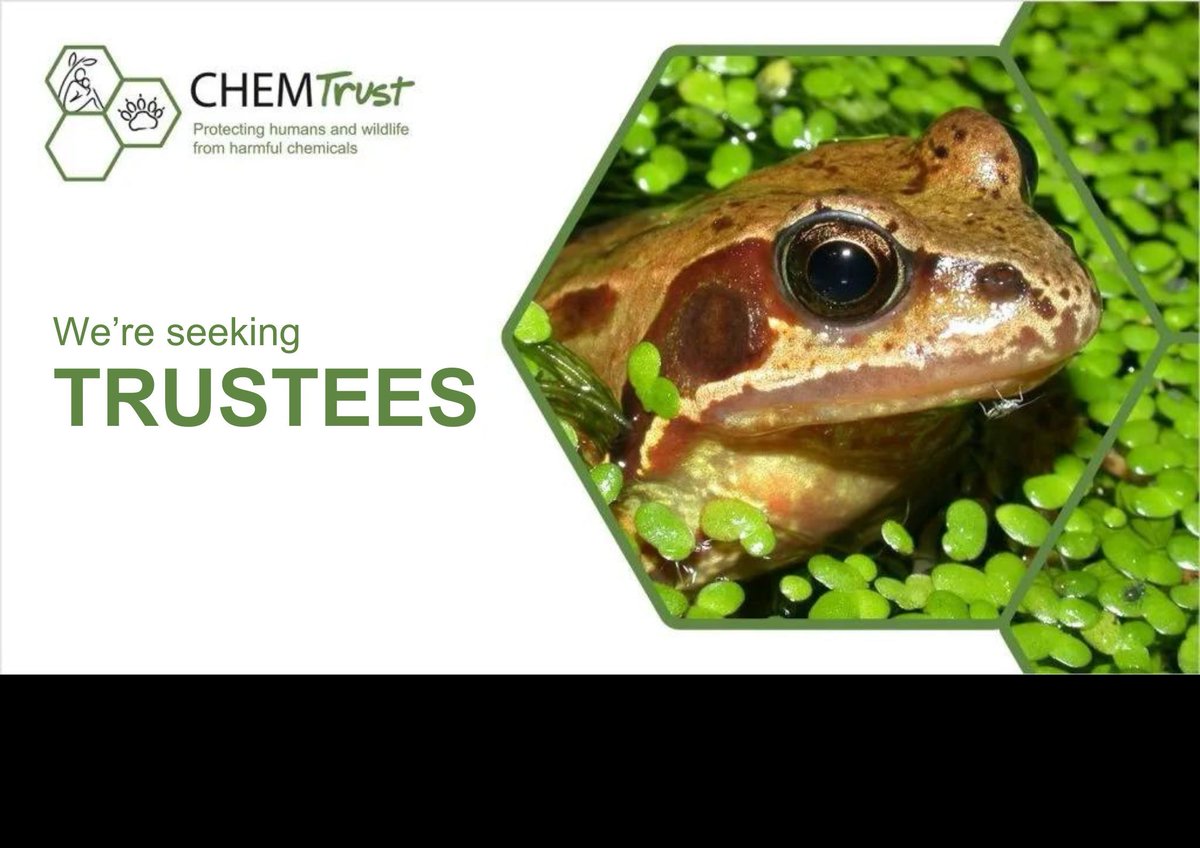Chemical #pollution is a problem as pervasive & complex to reverse as climate change. CHEM Trust works to prevent this pollution in the EU, UK & globally. We're seeking new Trustees with diverse experience & skills to increase our impact. More info here: buff.ly/3UC4IFC