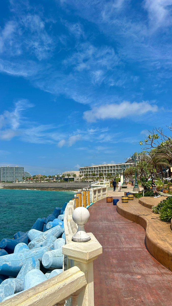 conibrownie's tweet photo. Okinawa Japan 🇯🇵 https://t.co/BvqSiLGDfd