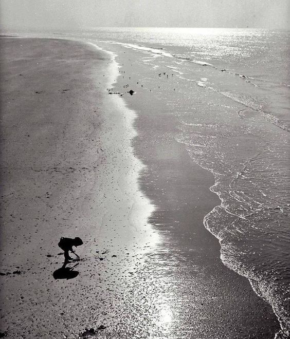 © Kees Scherer Seeking Shells, Summer, 1955