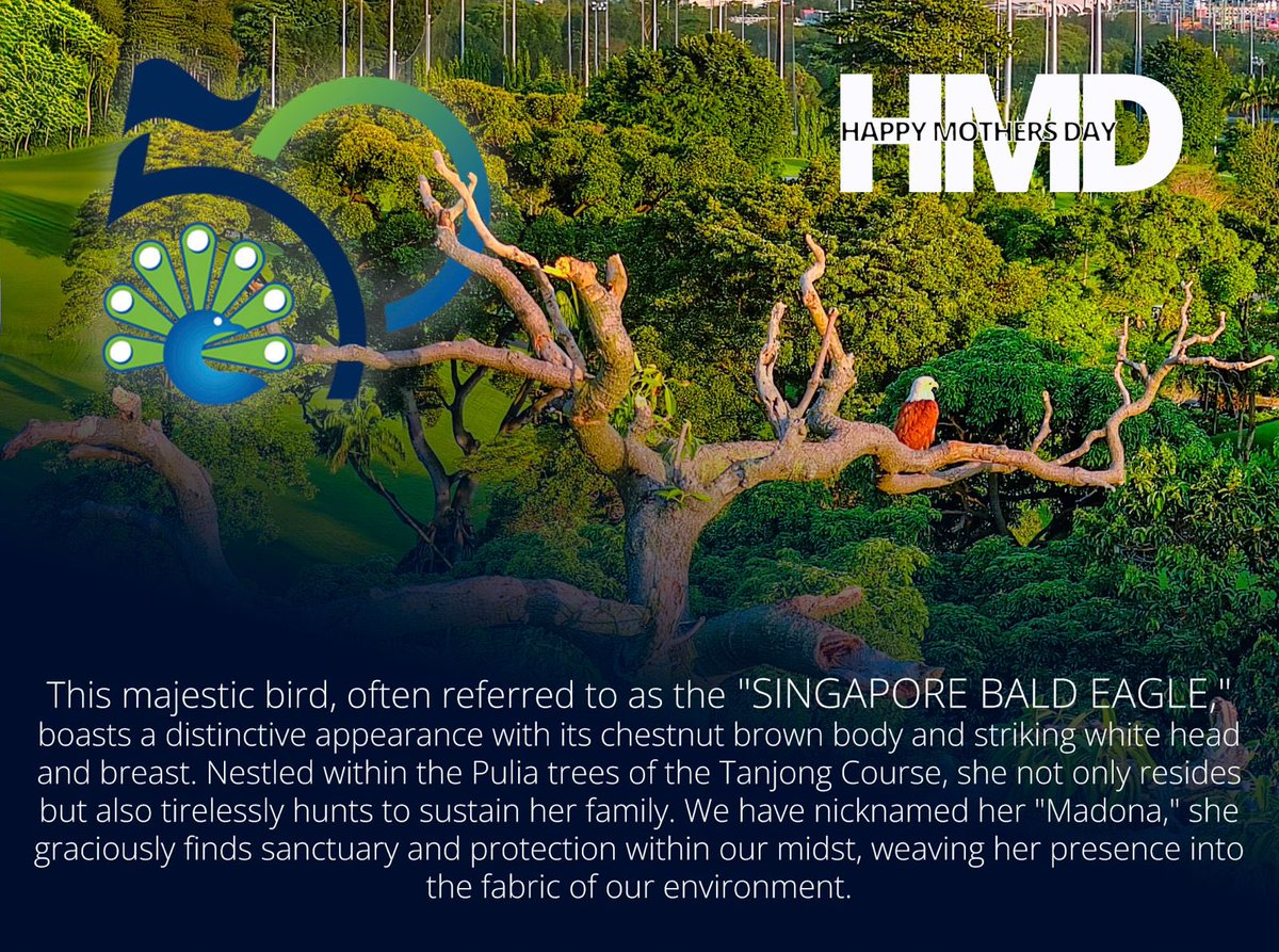 Andy Johnston (@andyjohnstonaj) on Twitter photo 