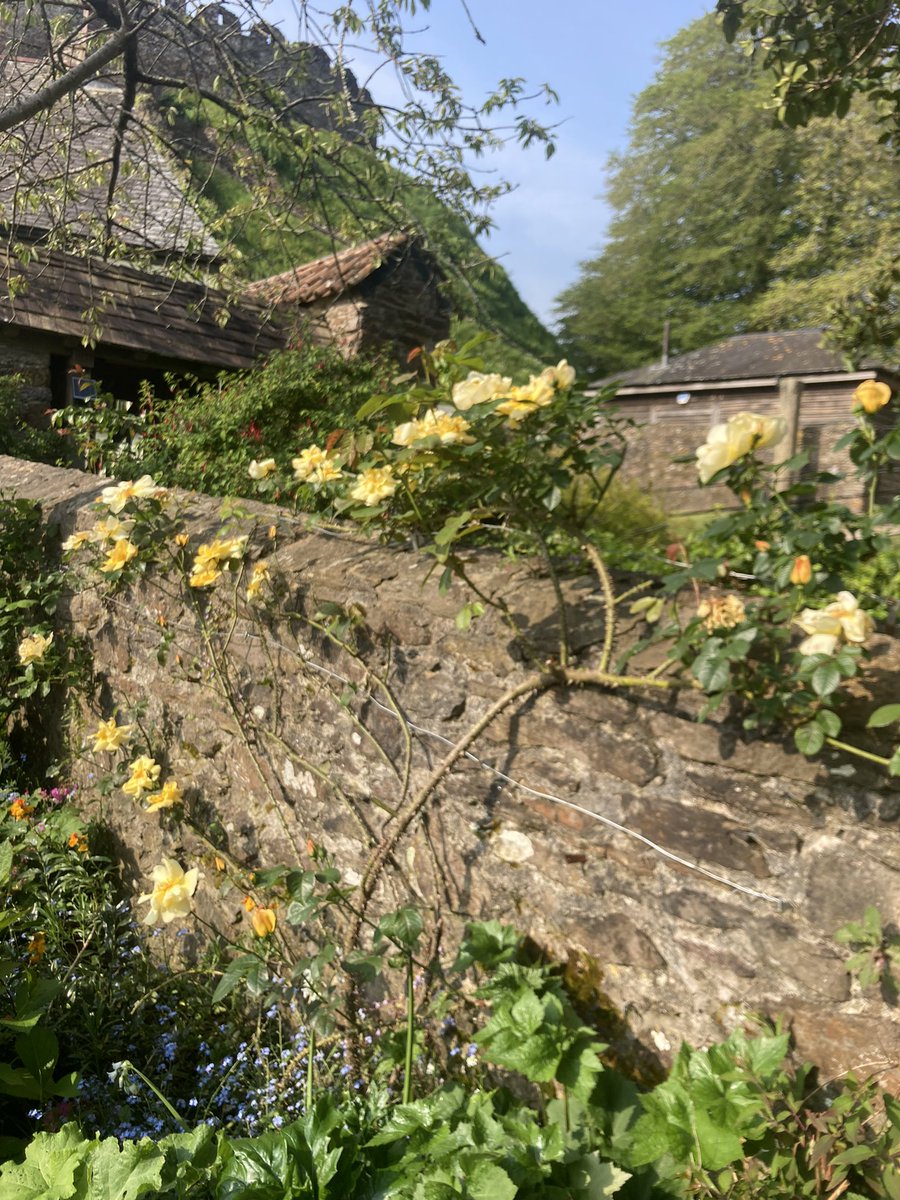 Richard Reynolds tweet media