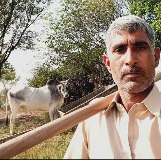 किसान और पशुधन का रिश्ता हरियाणा में हिसार के किसान Madan Data के एक बैल की मौत हो गई। 18 साल तक बैल खेती में उनका सारथी था। मौत के बाद उन्होंने बैल को गड्ढा करके दफना दिया। पशुधन आज भी किसानों के लिए परिवार का अभिन्न हिस्सा होता है। ये तरीका पर्यावरण के लिए भी मुफीद है।…