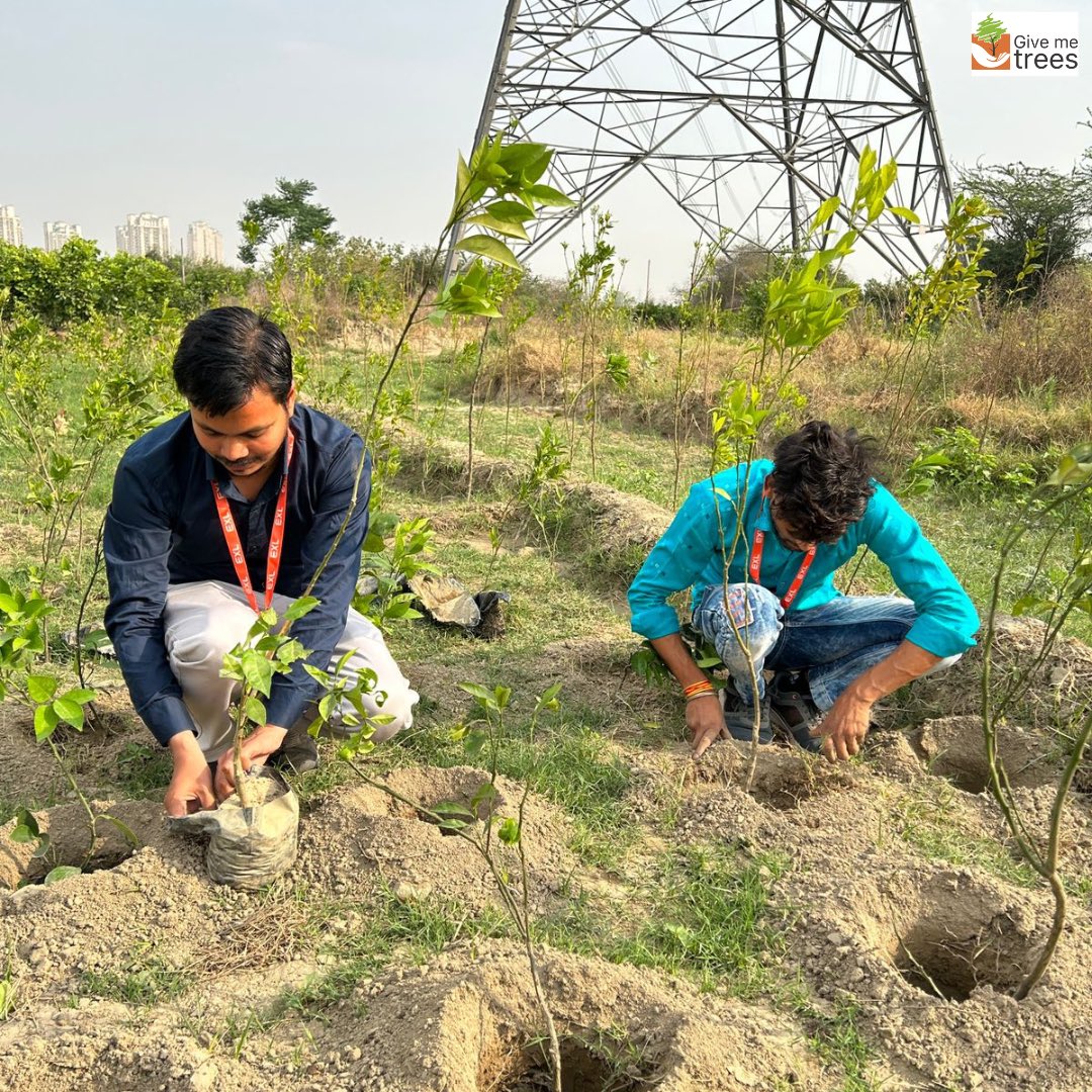 Give Me Trees Trust and EXL conducted a plantation drive in Sector 150, Noida. Volunteers planted saplings, fostering a legacy of community involvement and environmental care. Together, they laid out the groundwork for a more vibrant tomorrow.🙌💚🪴 #givemetrees