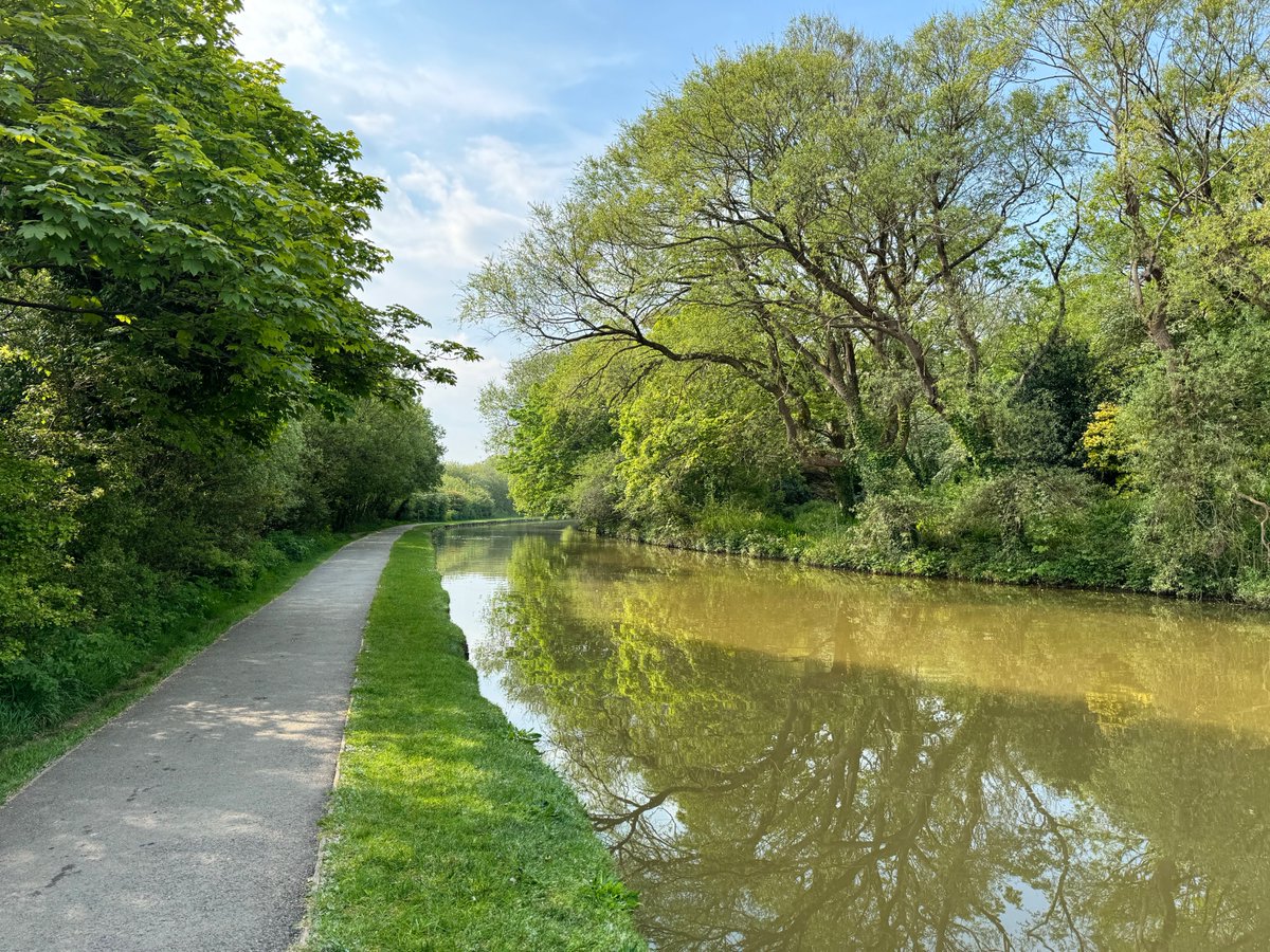 RosieMeddon's tweet image. Delightful and peaceful walk early this morning along the Bude canal. We saw mallard ducklings and Canada geese goslings.
#amwalking #SpringHasCome
