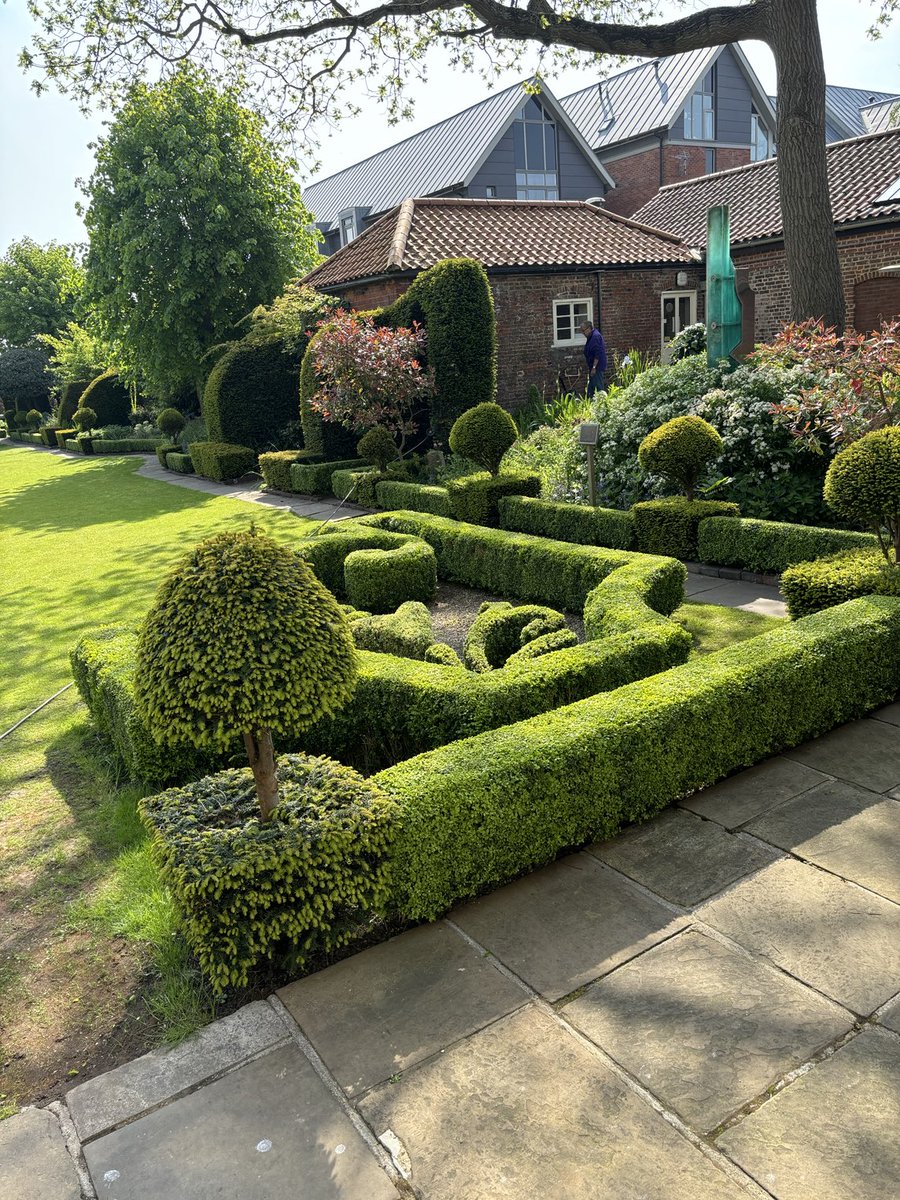 Alison Fairman tweet media