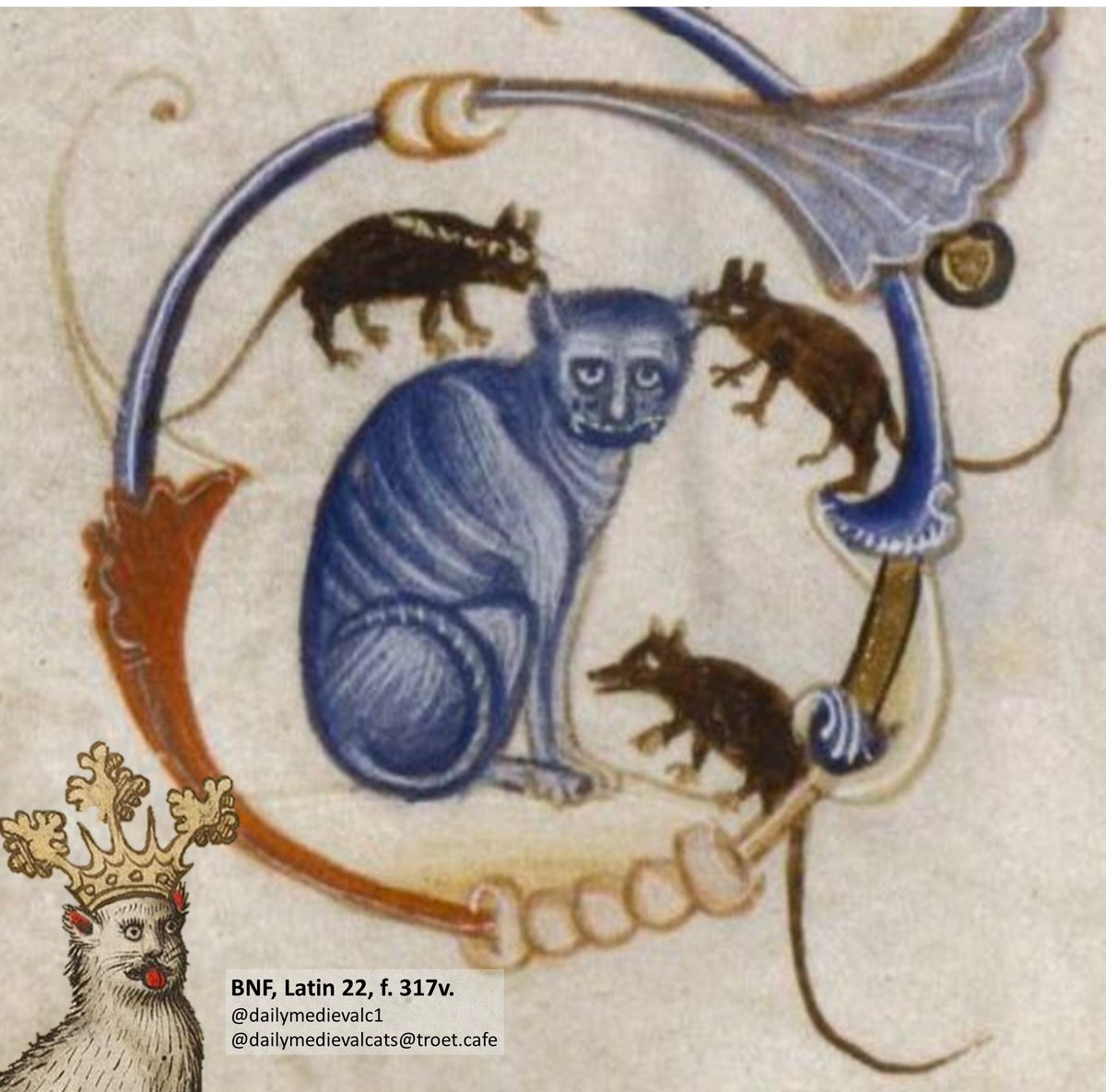 Annoyed.

Ms: BNF, Latin 22, f. 317v (15th c.). #medievalcat #medievaltwitter