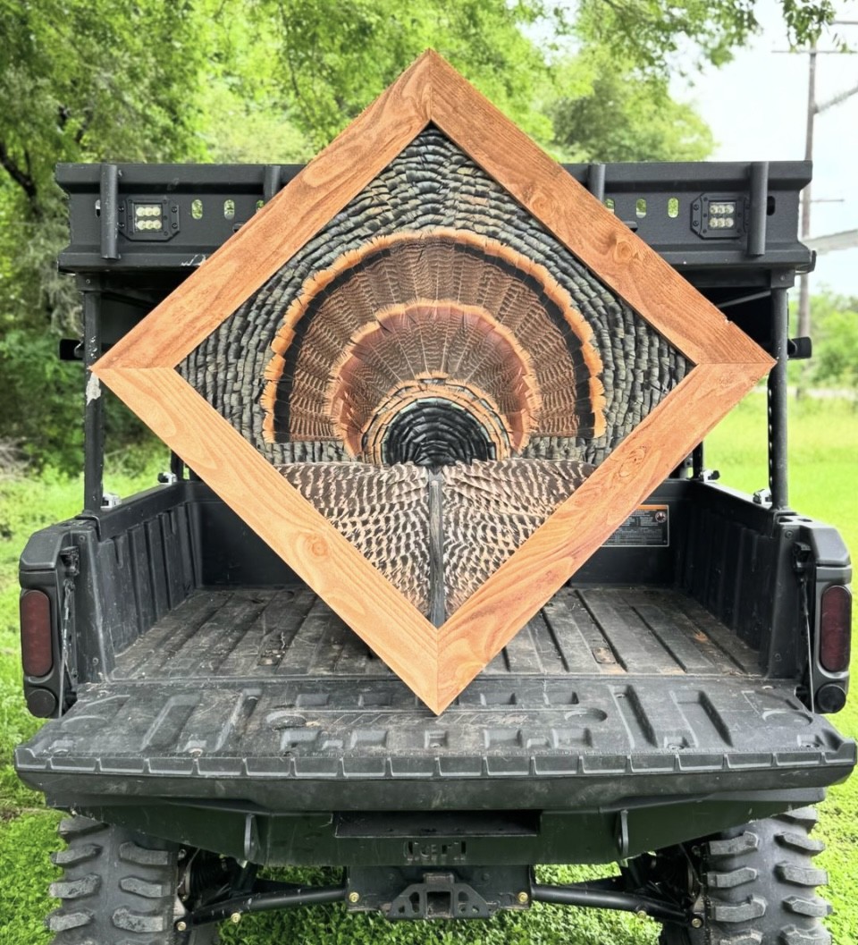 Who would love to have one of these done? - @jayceystone #ITSINOURBLOOD #hunting #outdoors #wildtukey #turkeyhunting #turkeyseason #turkeyfan #picture