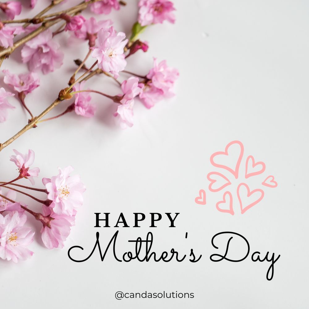 CandaSolutions's tweet image. 