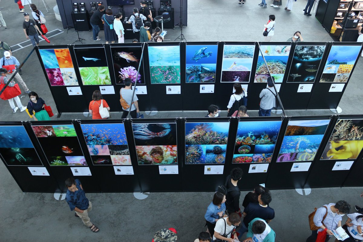 BlueOceanFes's tweet photo. ガイド会
ホームフィールドを誰よりもよく潜り観察し、知られざる景色、生物、生態等を知り尽くしているメンバー32名の渾身の作品が一堂に集まるのですから、そのパワーは半端ではありません。
今年はなんと！！
第１回ガイド会ライブin大阪が開催決定！
詳しくはこちら
https://t.co/XqOkMAjdNT https://t.co/BdwG78sjYA