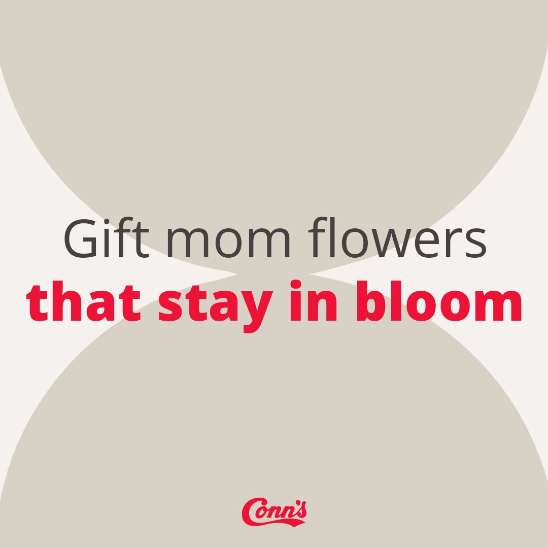 ConnsHomePlus's tweet image. Finally, flowers that will last as long as you love her— forever! Happy Mother&apos;s Day! 💐🫶 #HappyMothersDay