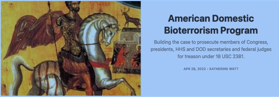 Katherine Watt: 
Intentional killing. 
Legal frameworks for State-sponsored biochemical warfare.
ratical.org/PandemicParall…
