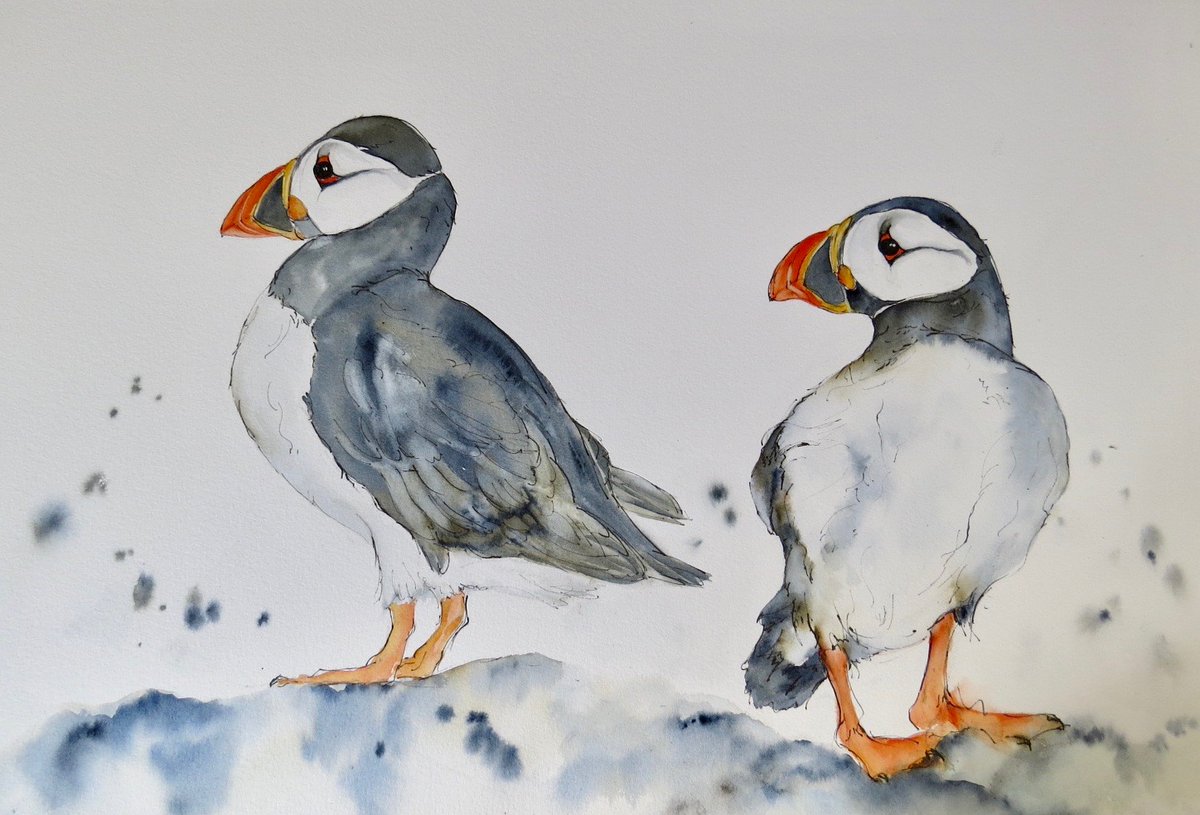 Puffins!❤️ Watercolour and pen.  From memories of a spectacular trip to the Farne Islands.   #seabirds #puffins