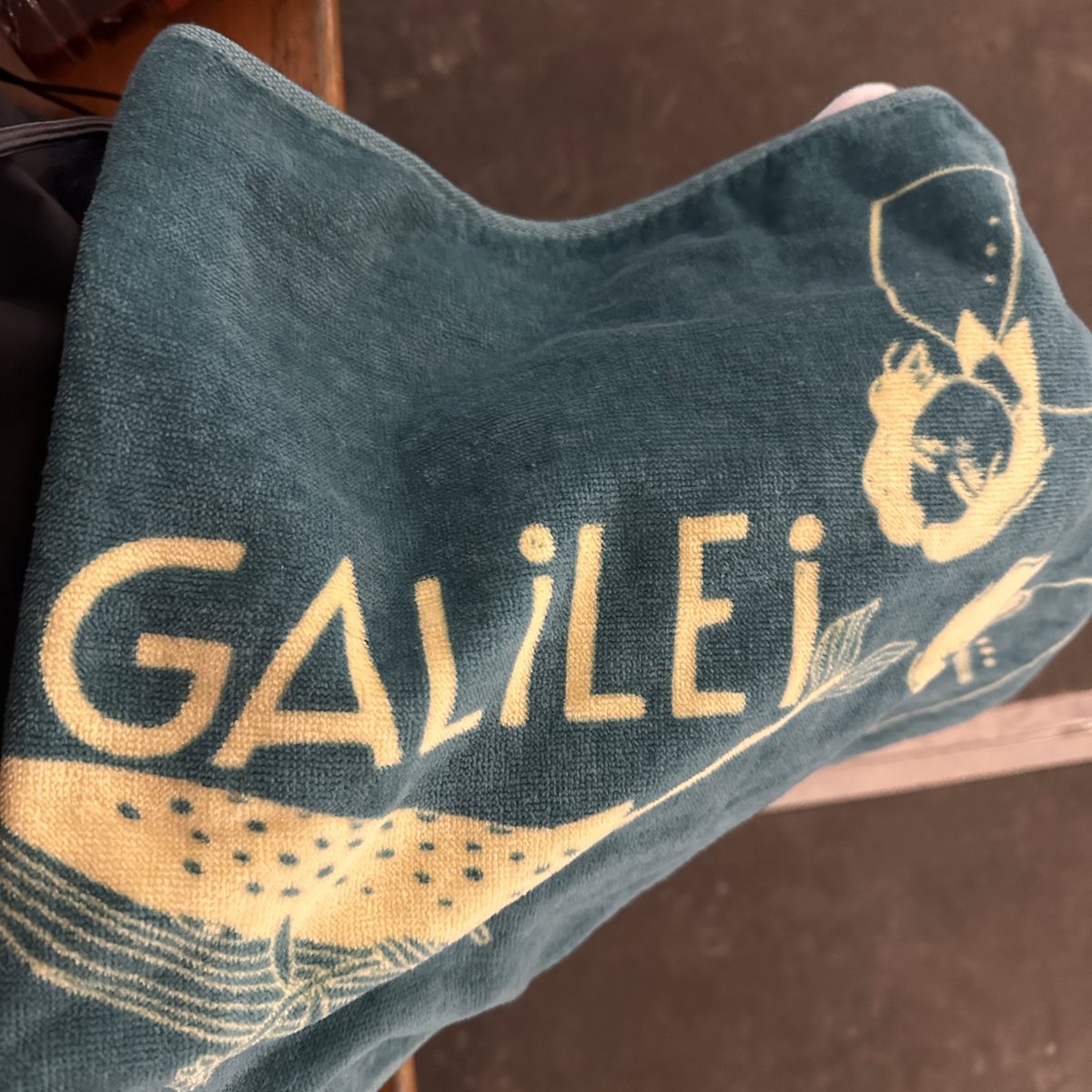 風吹く中のGalileo Galileiが本当に良すぎた。
バナナフィッシュの浜辺と黒い虹、一生好き