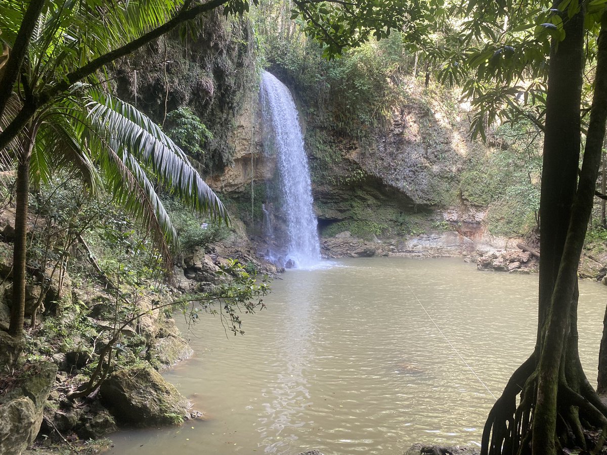 Grabaciones del documental “Universo de las Abejas” para <a href="/PoderdelaTarde/">El Poder de la Tarde</a> disfrutaremos su I Parte este lunes a las 6:00 pm por <a href="/CanalTRArd/">Teleradio América | Canales 20 y 42UHF</a>
