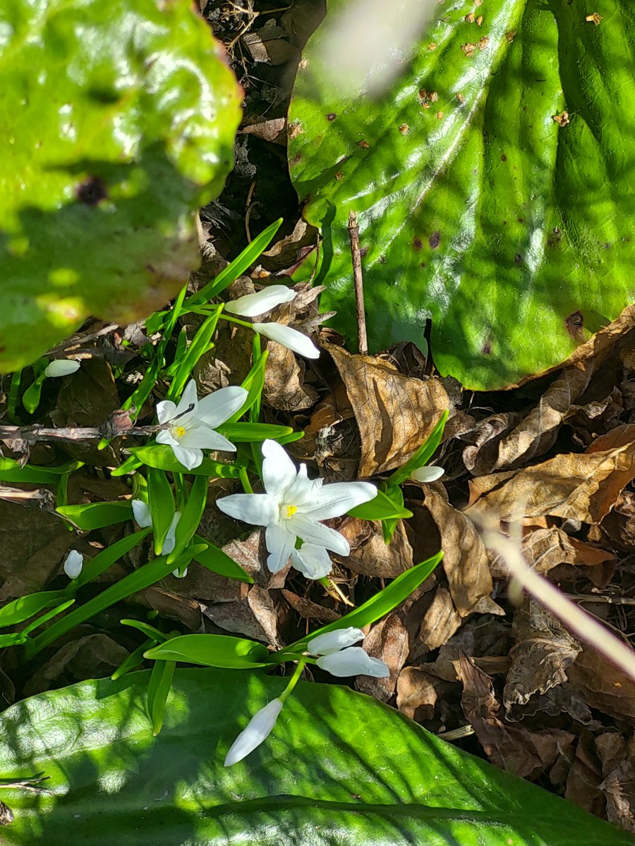 Kiitos elämästä, Äiti.
Pari riviä tein kirjaimia tänään.
Siinä kaikki. Olen onnellinen.
-Lauri Viita-

Onnea äitienpäivänä! ❤