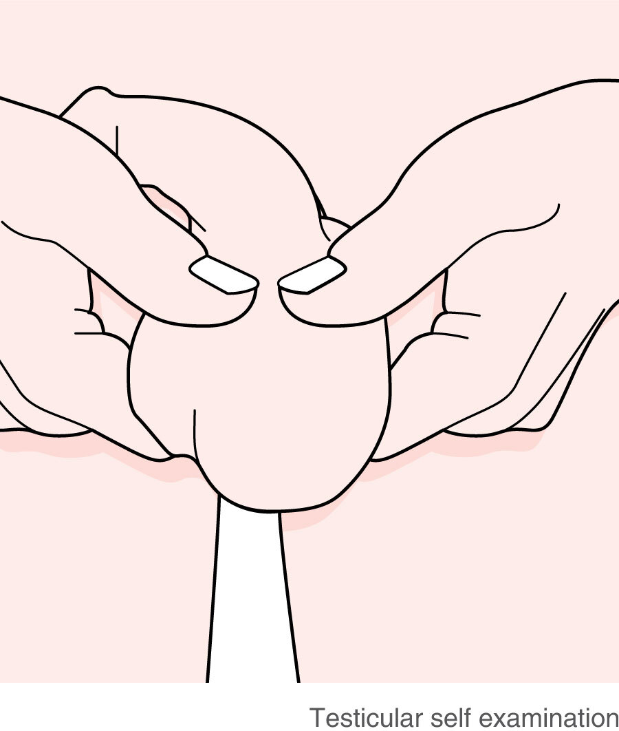 Self Care Sunday - Gentleman, it's important check your testicles.