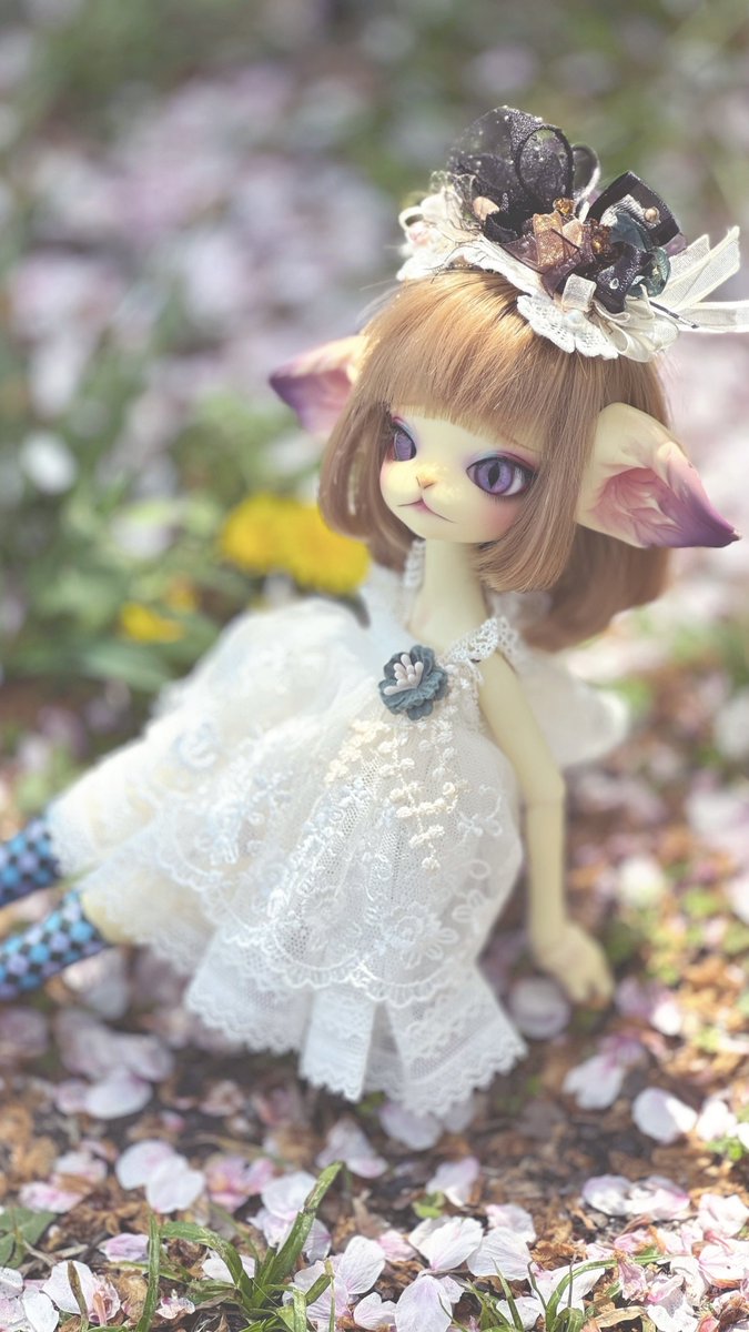 桜の絨毯♡
#おいでよみすきちの森   #ミスキティ