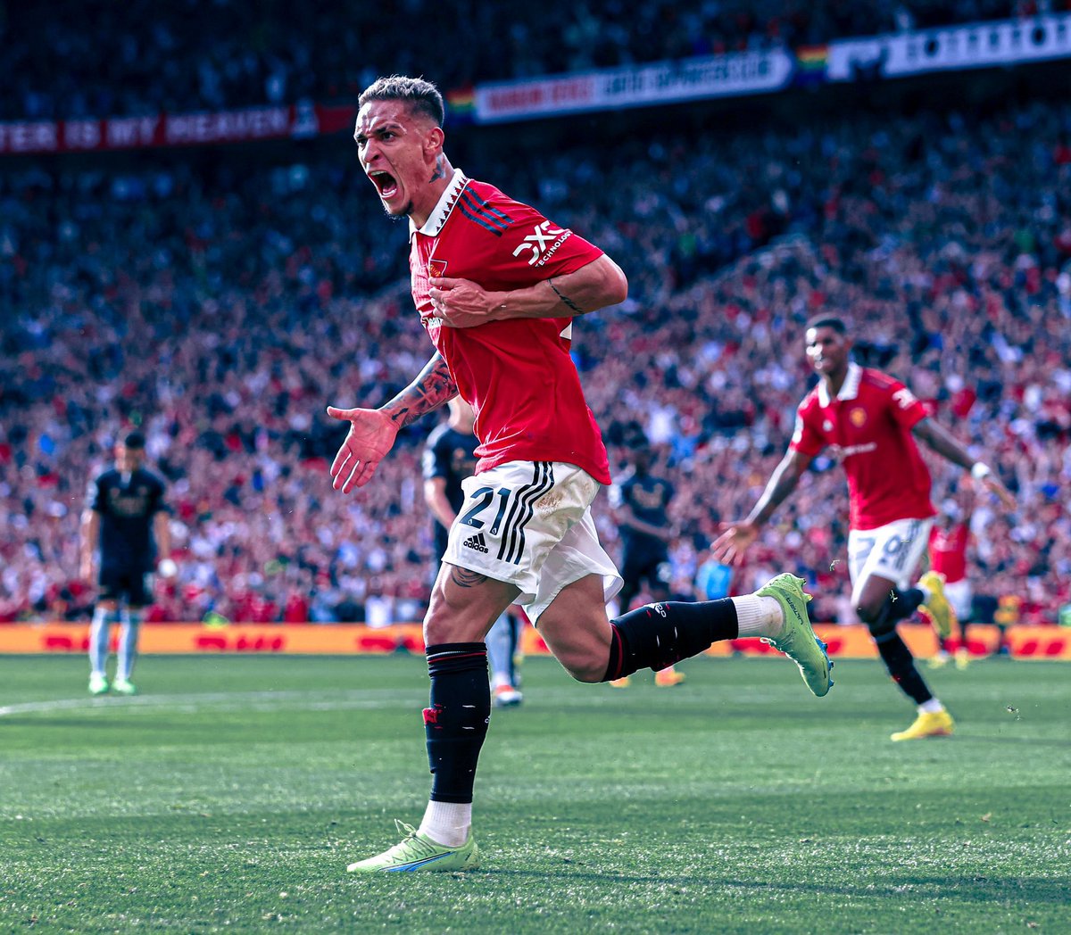 utdfocusid's tweet image. Kalau Manchester United menang malam ini, gue mau bagiin saldo 300k untuk salah satu FOLLOWERS beruntung yang reply twit ini! 🫵🏻🔥

#Blibli @bliblidotcom