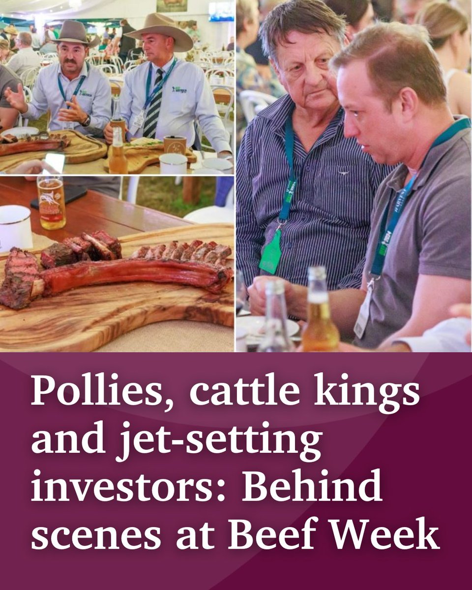 If there’s any place you’re guaranteed to find a good steak, it’s in the middle of Rockhampton during Beef Week. But that’s not the only reason you’ll find politicians pulling up a seat next to the state’s cattle royalty. Details 👉 bit.ly/4bavXOs