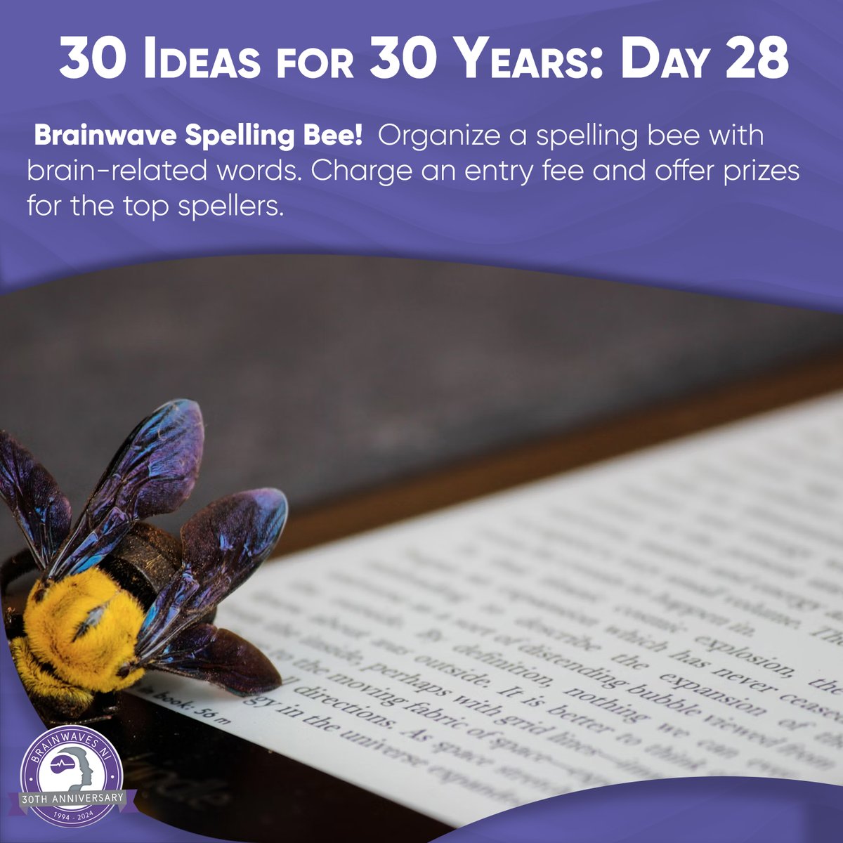 🐝 Brainwave Spelling Bee Alert!

🎉 Day Twenty-Eight of our '30 Ideas for 30 Years' campaign is here!

Organise a spelling bee with brain-related words. 

Charge an entry fee and offer prizes for the top spellers. 
Let's have some fun while supporting brain health!