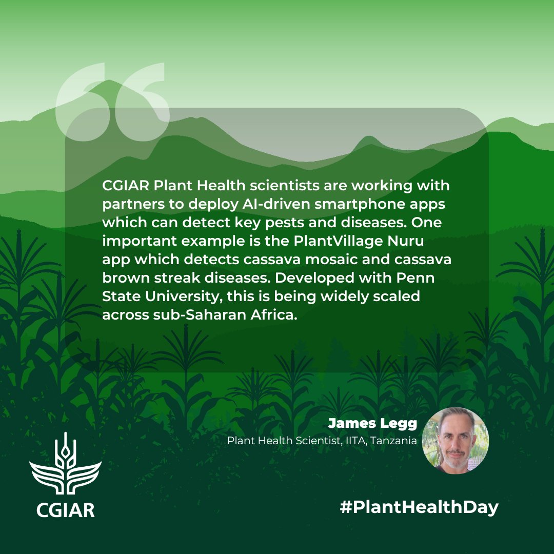 Today, we add our voices to raise awareness on the importance of protecting plant health to help end #hunger, reduce #poverty, protect #biodiversity & the #environment & boost economic development across the world. . #InternationalPlantHealthDay #Planthealth #PlantHealthDay24