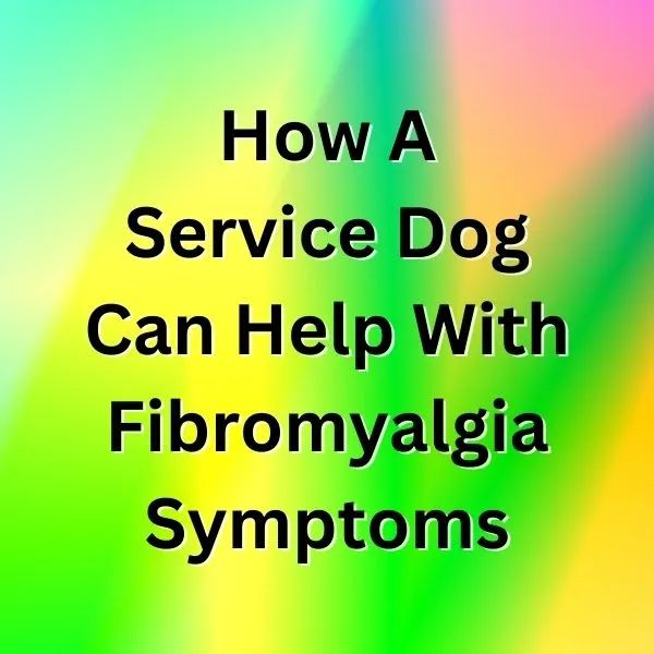How A Service Dog Can Help With Fibromyalgia Symptoms
People with fibromyalgia can benefit from having a #ServiceDog because it can help them in many ways, both physically and emotionally. @ThomByxbe @FibroBloggers 
buff.ly/3lBa2uW