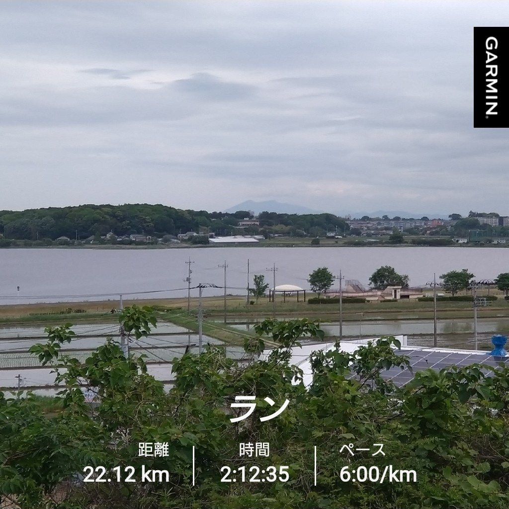 ikeda917's tweet photo. 曇り空の中、手賀沼と林間コースでのんびりとLSD https://t.co/0l1BEWydgh