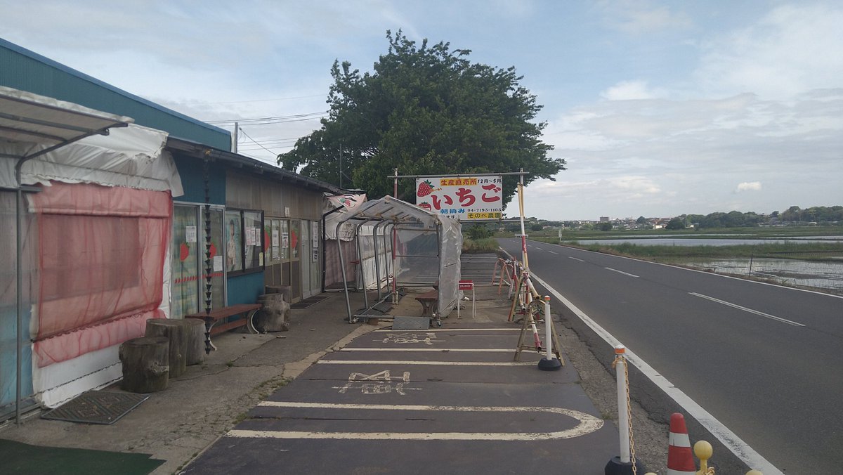 ikeda917's tweet photo. 曇り空の中、手賀沼と林間コースでのんびりとLSD https://t.co/0l1BEWydgh