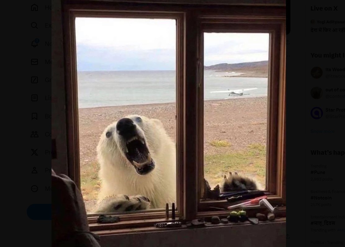 Babu in Alaska for rent, lovely view.
#nature #naturelovers #NaturePhotography