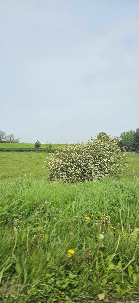 Hello from West Yorkshire. Waiting. (May need a click.) #Sky #Countryside #Yorkshire