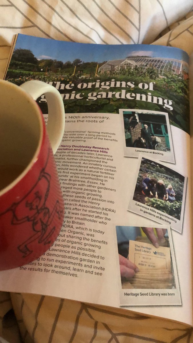 Finally getting round to reading the anniversary edition of Amateur Gardening. Perfect Sunday morning read. Think I’ve found the gardening magazine that suits me!!! Looking forward to next edition already…. 

 #gardening #GardeningTwitter #smallholding #homegrown #growyourown