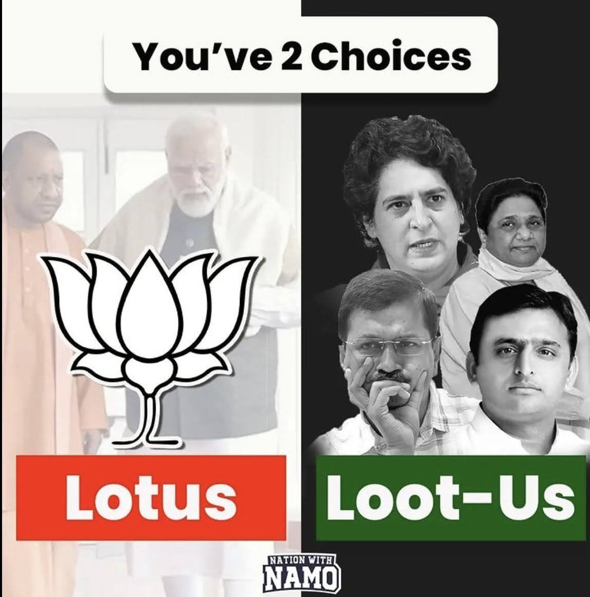 Choose wisely! 
#lotus #BJPAgain #Election2024