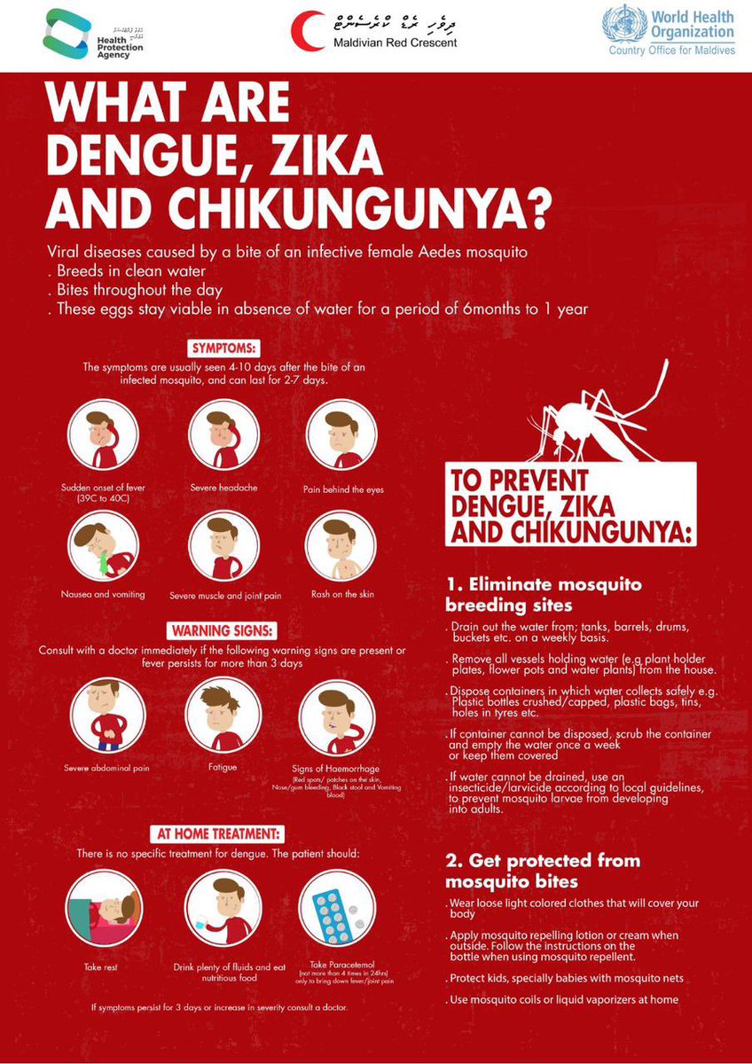 Practice safety measures to protect yourself from mosquitoes 🦟 that can cause diseases such as #dengue and #chikungunya
