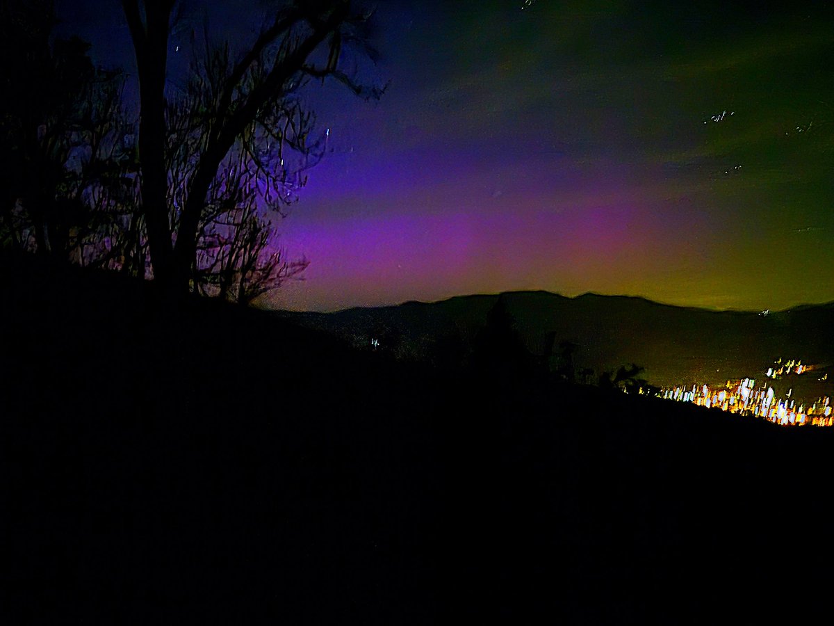 Tanuki tweet media