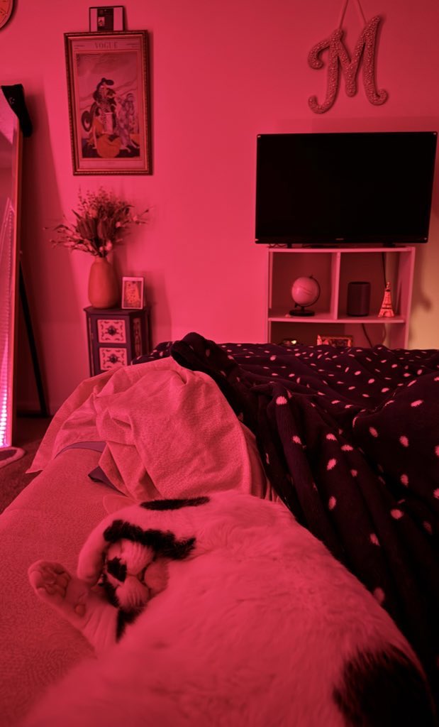macierice_'s tweet photo. 10 chapters into the book I started reading  2 hours ago + this guy to keep me company = life is perfect https://t.co/7uB2s4B68a