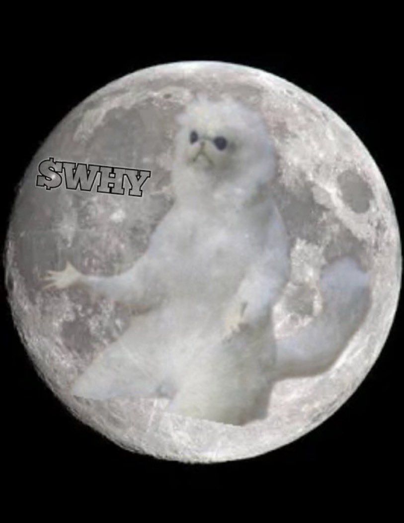<a href="/W0LF0FCRYPT0/">The Wolf Of Crypto Streets</a> <a href="/whytoken_/">$WHY</a> - $WHY