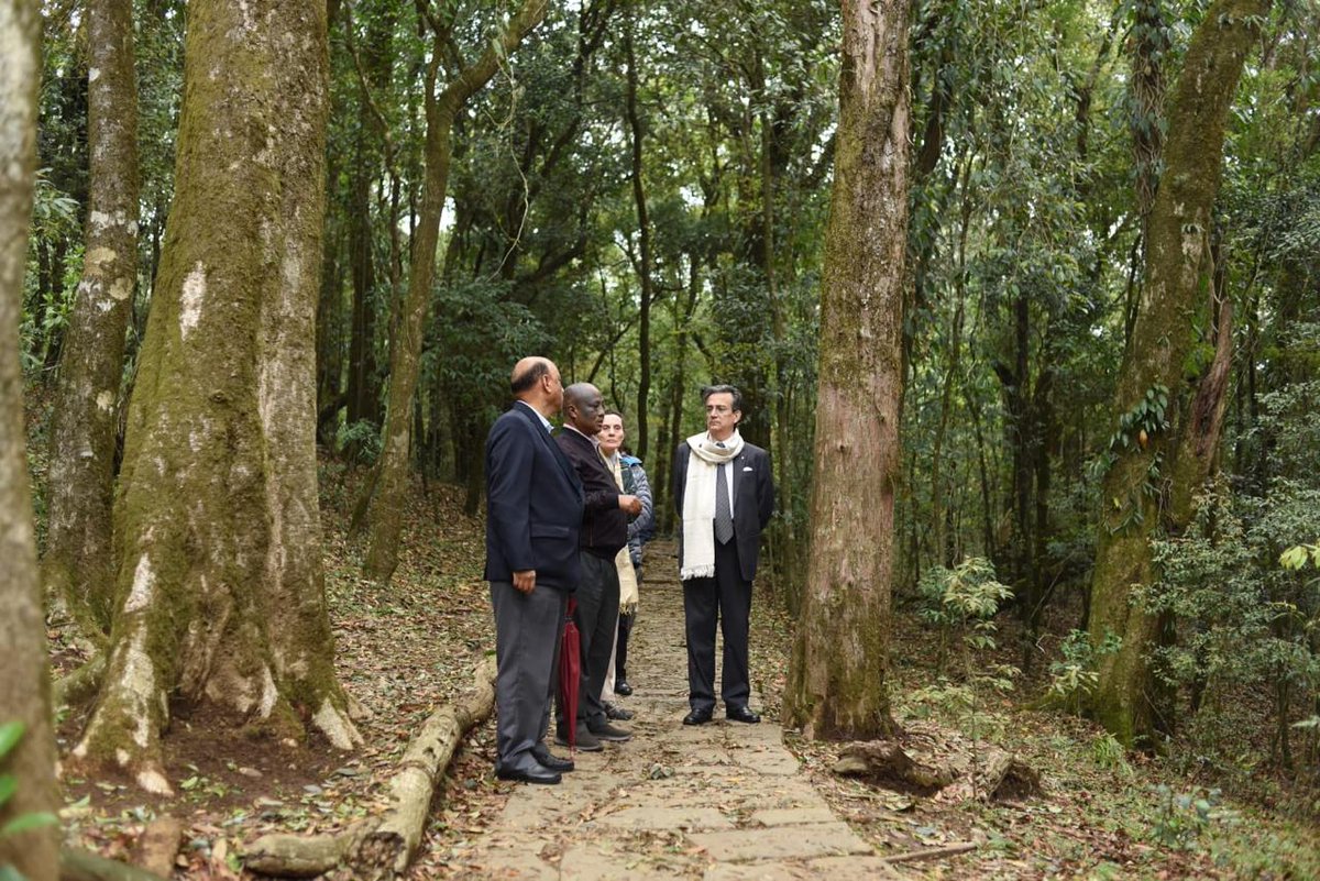 French Ambassador Thierry Mathou journeys through the vibrant culture and ecological wonders of Meghalaya. #feedmile #French #Ambassador #ThierryMathou #Meghalaya #cultural #environment