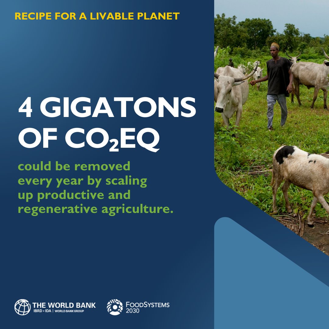 #DidYouKnow that 4 gigatons of CO2 equivalent could be removed every year by scaling up productive and regenerative #agriculture? Know more: wrld.bg/Slis50RA2vQ #LiveablePlanet 🌱