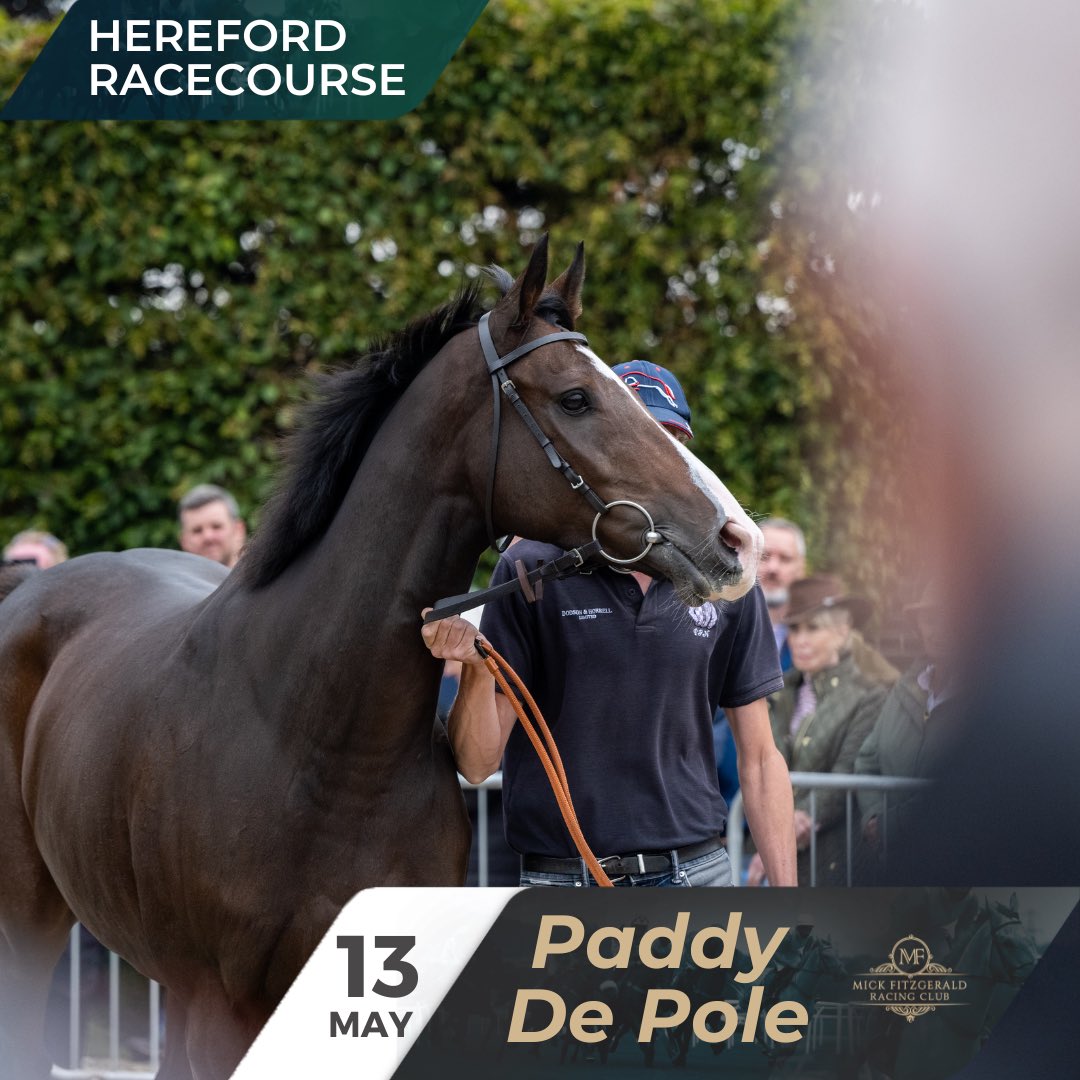 Paddy De Pole has been declared to run at @HerefordRaces on May 13th in the 14:30 Best Odds Guaranteed At Planet Sport Bet Handicap Hurdle over 2m3½f. @gingell_freddie takes the ride as PDP looks to make it three on the bounce! 🔥