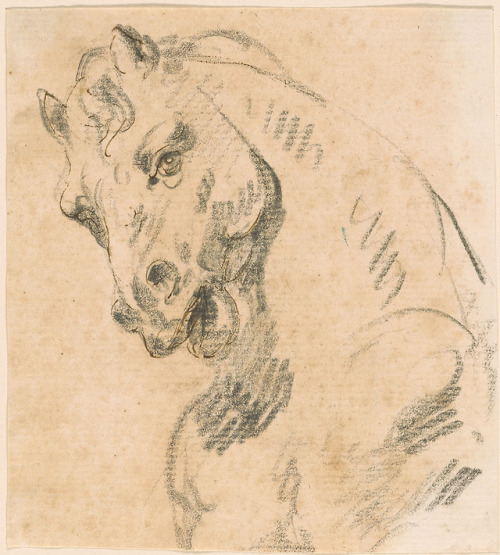 Les dessins de Tiepolo

Giambattista Tiepolo