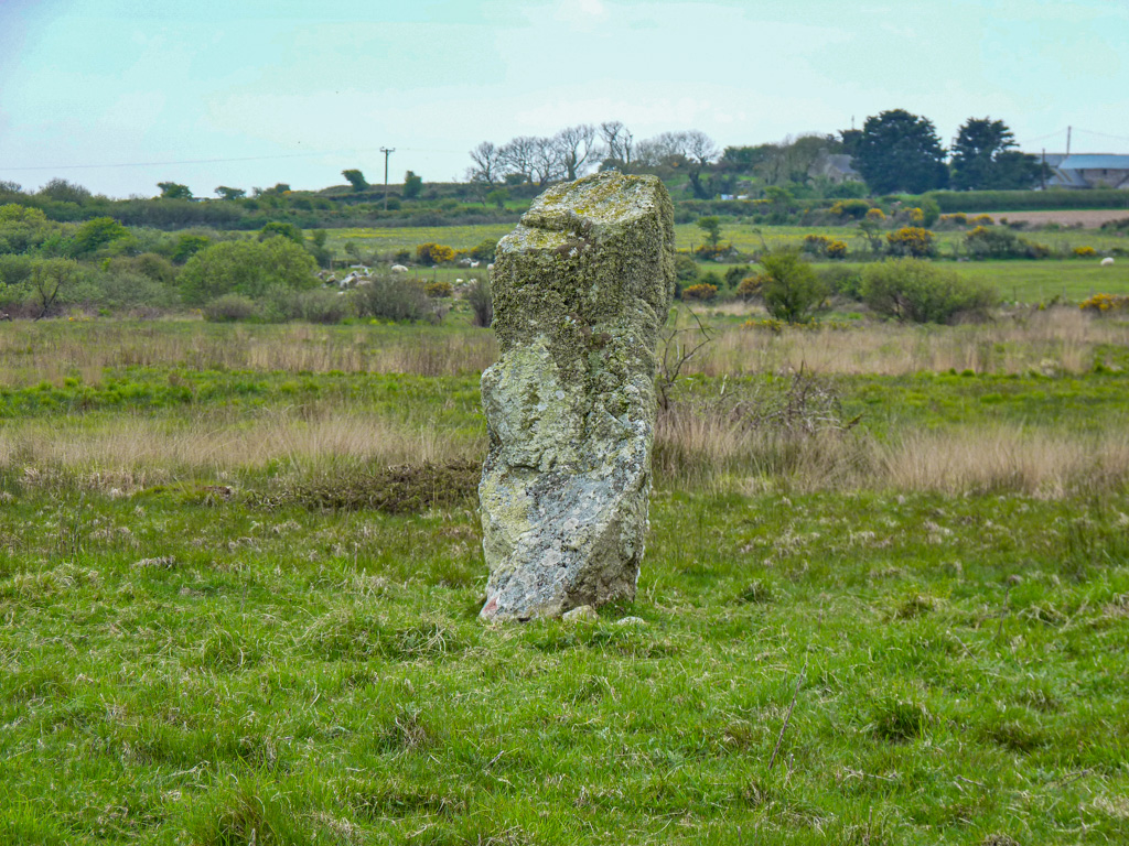 Ffynnon Druidion Pembs for #StandingStoneSunday -A large standing stone circa 2.25m high by 1.25m wide and 0.7m thick irregularly shaped and tapering to a point. The stone is situated in an enclosed field of unimproved pasture - Archwilio - There is a burial chamber nearby