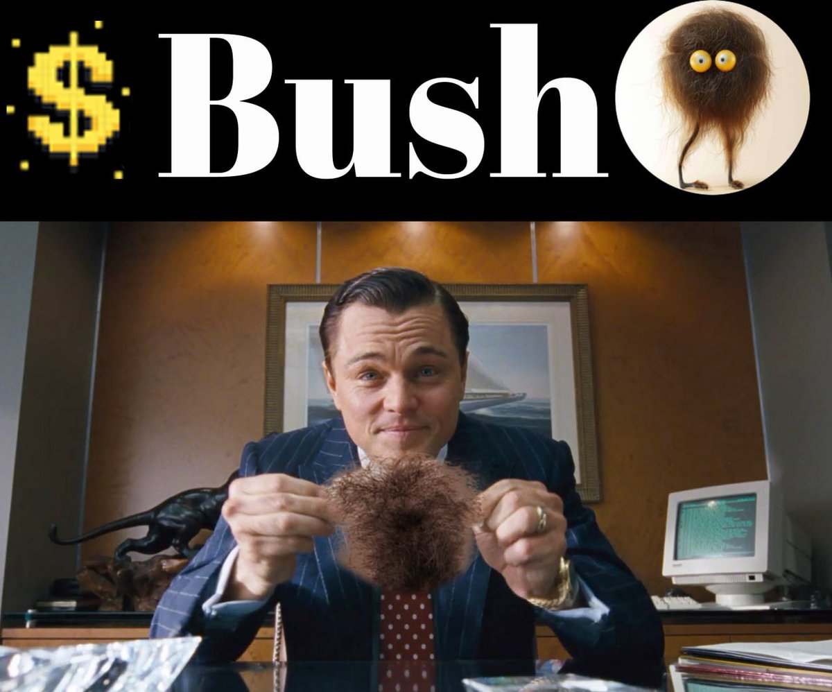 @1000xgirl Memecoin is the best way to make money in #crypto right now that's why I present to you the best #solanmemecoin $BUSH it as the potential to hit 100× at launch so dont miss this offer @BushOnSolana come join the Raiders on TG for free $BUSH token as you pump your bag