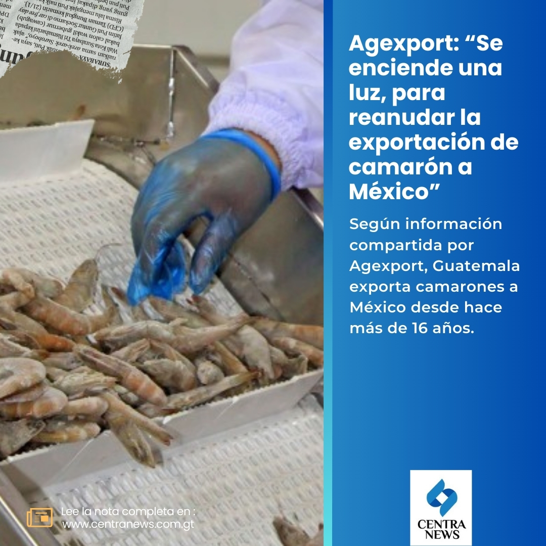 🦐 #NacionalesGT | Agexport: “Se enciende una luz, para reanudar la exportación de camarón a México”.

📝 La nota: lc.cx/HHUqb0
 
#Guatemala #EconomíaGT @AGEXPORTGT