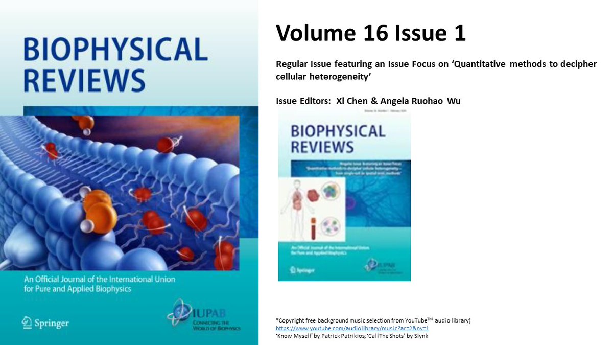 BiophysicalRev1's tweet photo. Volume 16 Issue 1
Regular Issue featuring an Issue Focus on ‘Quantitative methods to decipher cellular heterogeneity’
Issue Editors: Xi Chen &amp; Angela Ruohao Wu
https://t.co/bYU0SLnDNe
YouTube: https://t.co/g4gXhgVFKB
IUPAB: https://t.co/cBqF9hXFOL https://t.co/DKl5pqVmhx