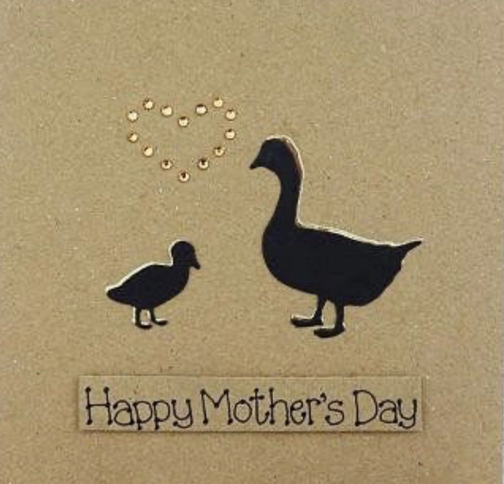 HONKHONK 🪿Happy #MothersDay to all the #geese mothers & lovers