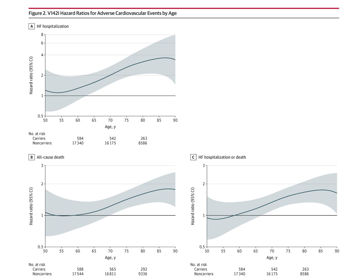 Among self-reported Black individuals, male & female V142I transthyretin variant carriers faced similar & substantial risk for HF hospitalization, predominantly with reduced ejection fraction, & death, with steep age-dependent penetrance. ja.ma/3QBcDBR #HeartFailure2024