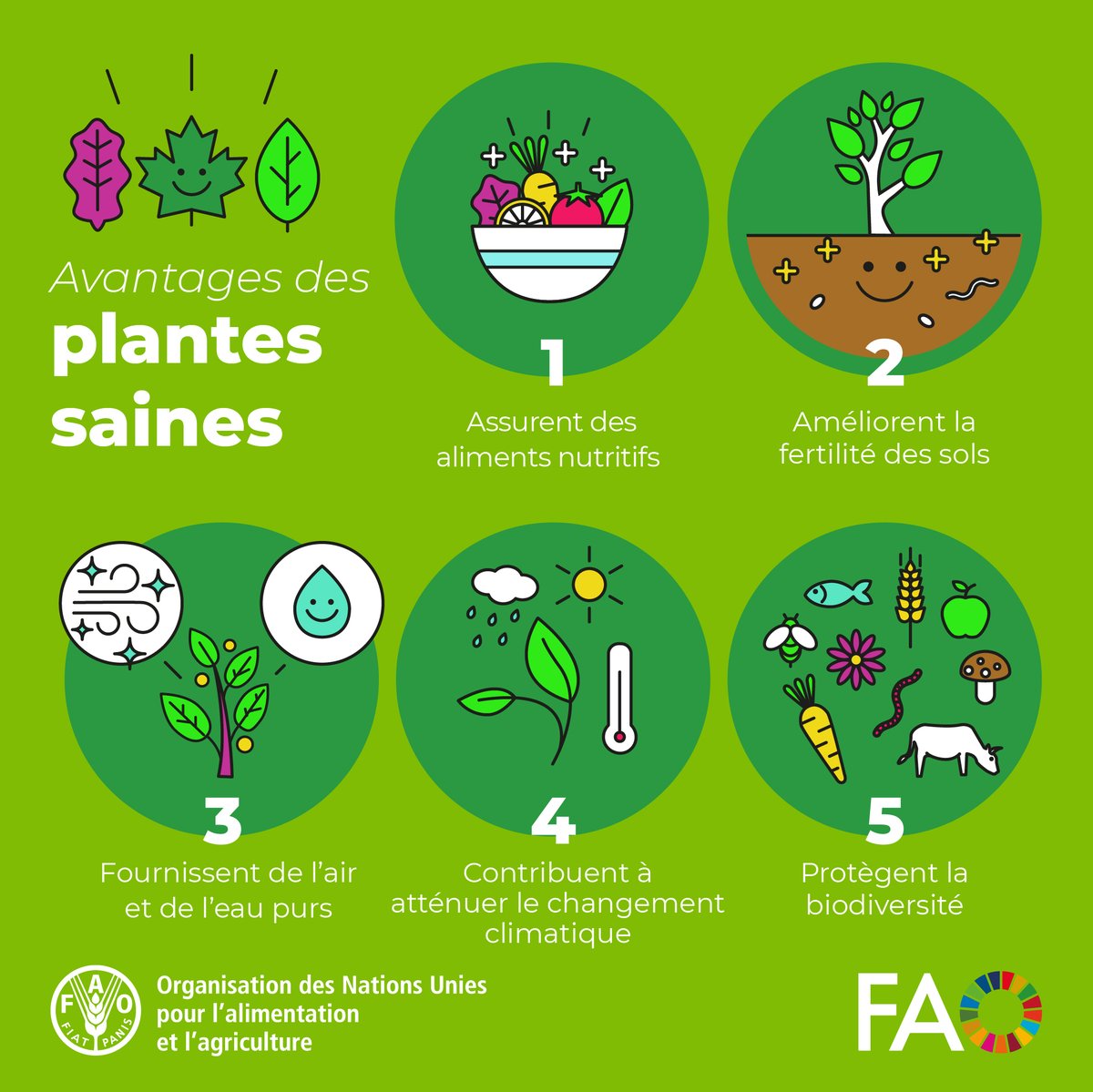 🌱 Protéger la #SantéDesPlantes ne signifie pas seulement protéger des plantes. 🌍 Cela signifie protéger la vie. Voici 5️⃣ bonnes raisons pour lesquelles il est important de maintenir les plantes en bonne santé, tous les jours 👇 #JournéeDeLaSantéDesVégétaux