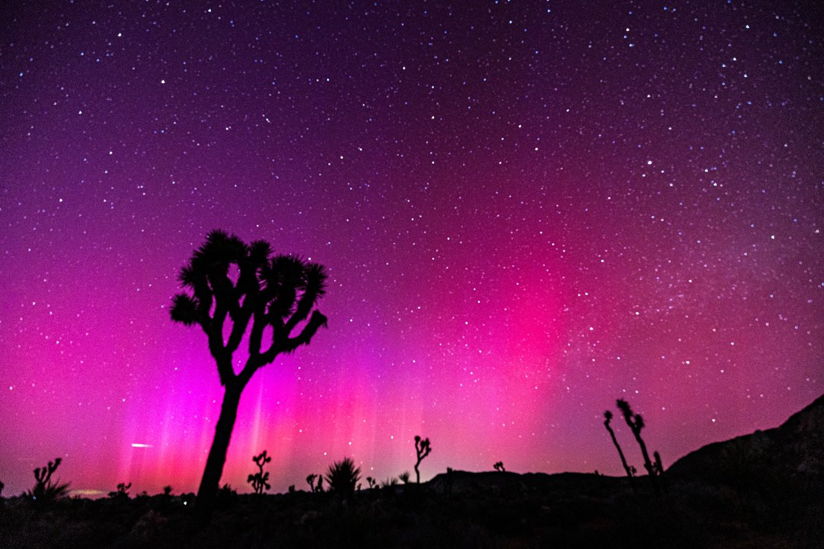 last night in joshua tree. the northern lights ! honestly the most magical thing. and we didn't even know it was happening!!! cried I was so grateful. 💖#joshuatree #northernlights