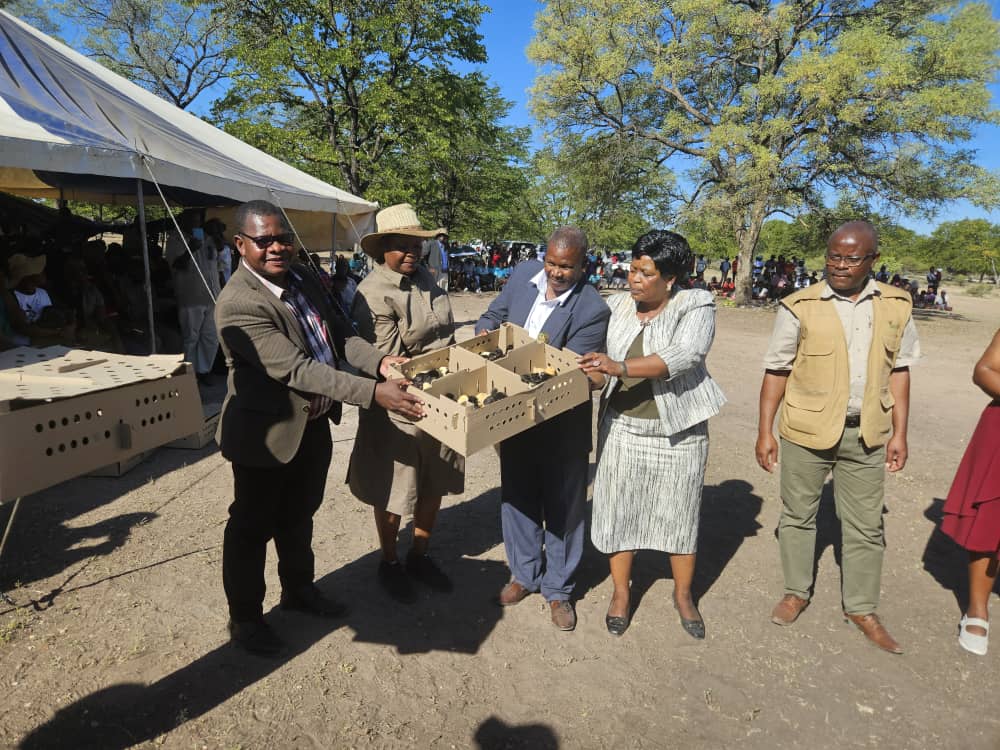 The Permanent Secretary, Professor dr. Obert Jiri hands over chicks to 4 Chiefs and 1 Headman in Tsholotsho South Constituency, Matebeleland North Province, under the Presidential Poultry Scheme. They recieved 100 chicks each.